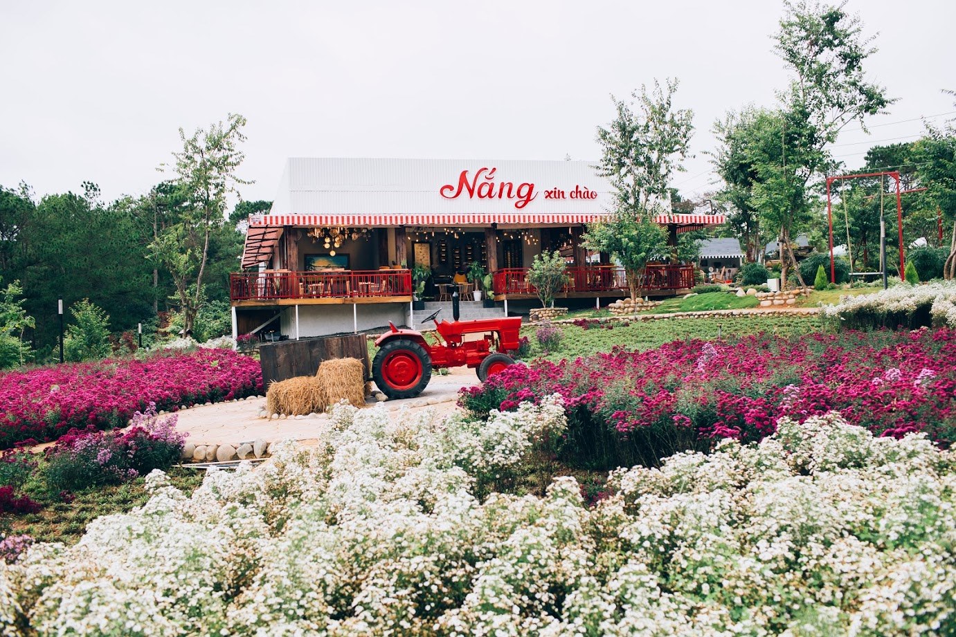 Khám phá Tour Săn Mây Đà Lạt