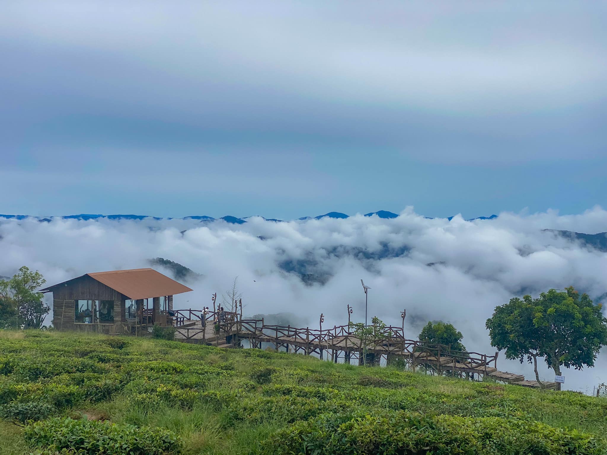 thiên đường săn mây đà lạt