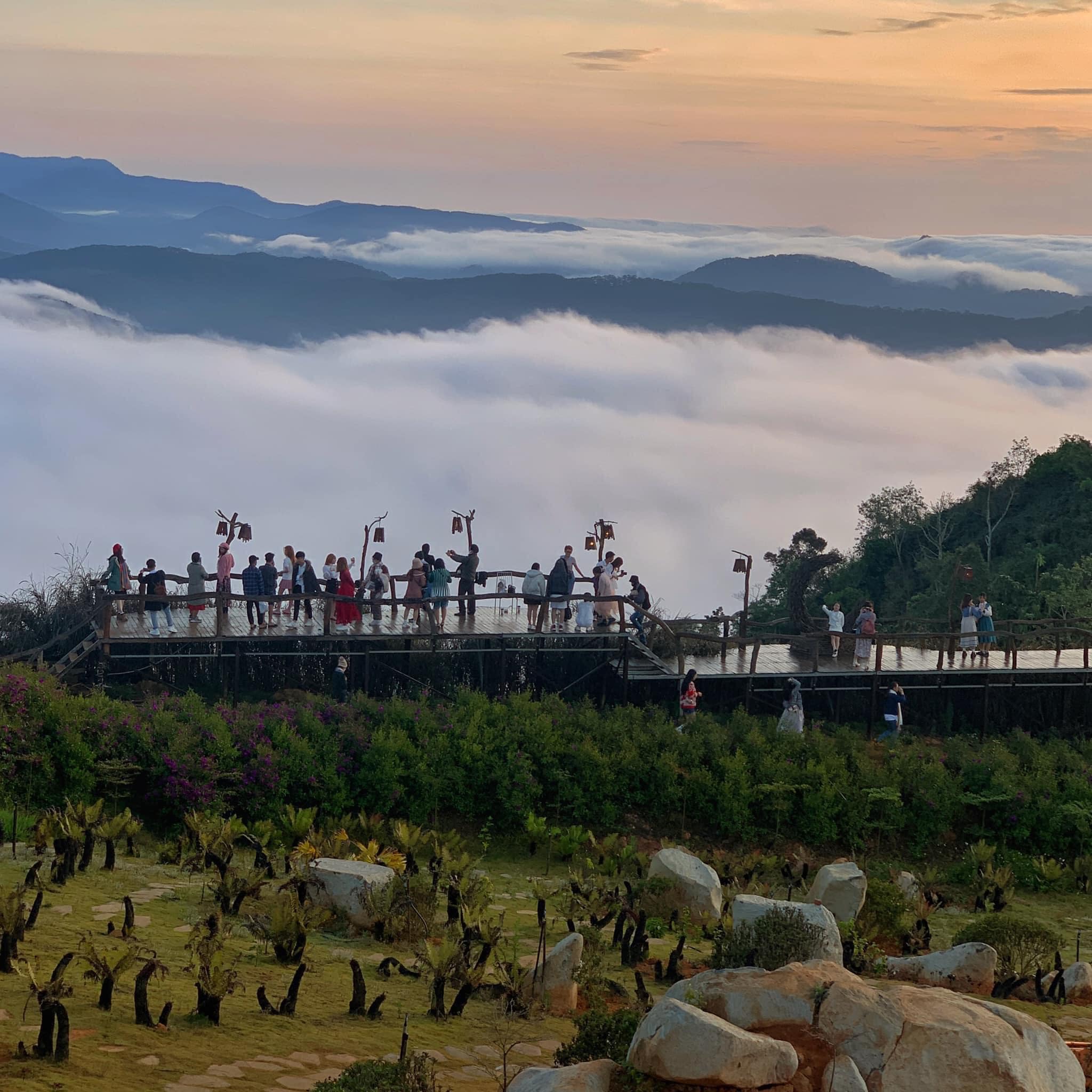 check in thiên đường săn mây đà lạt