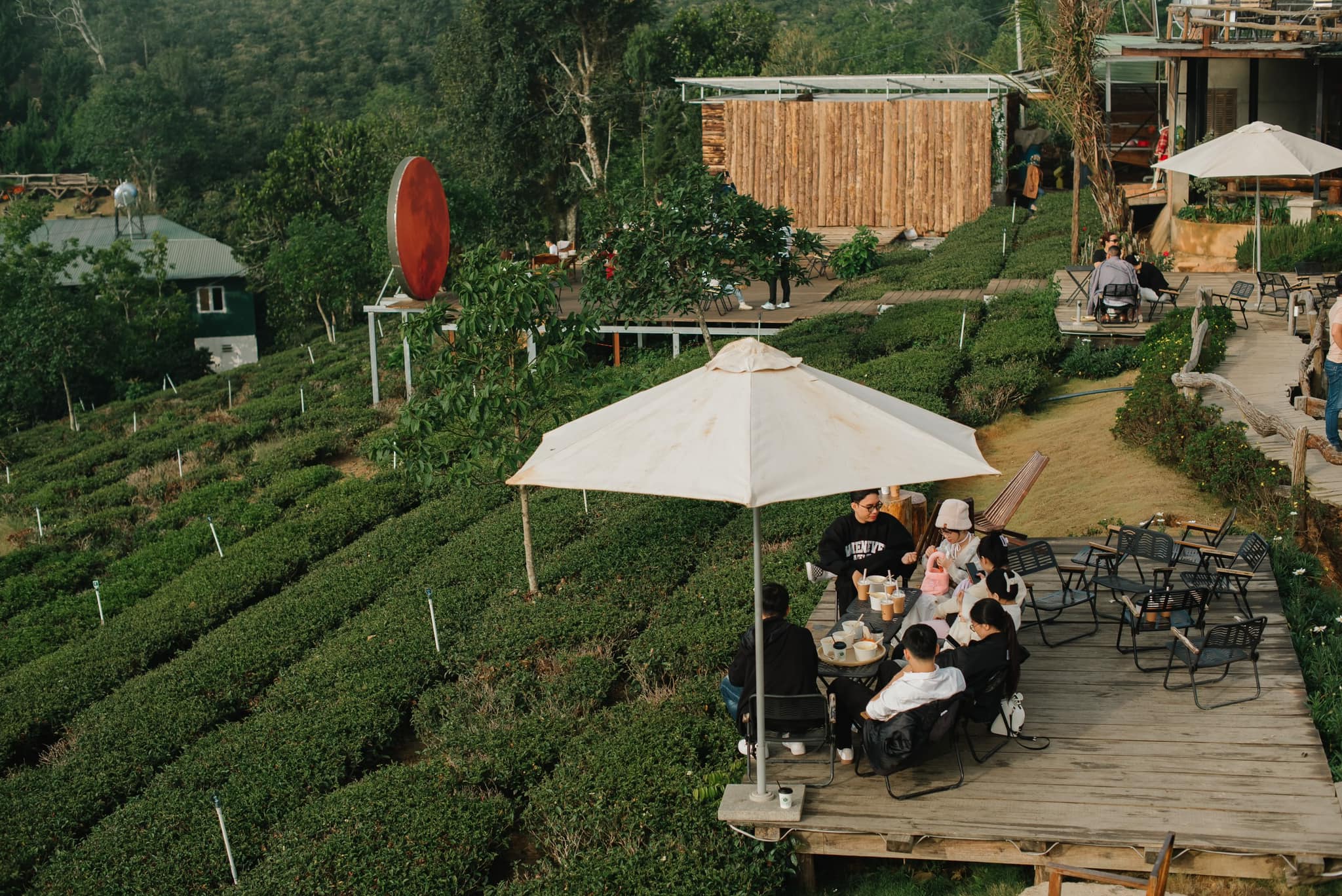 săn mây cầu gỗ bình minh