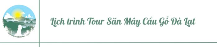 Lịch trình Tour săn mây cầu gỗ Đà Lạt 