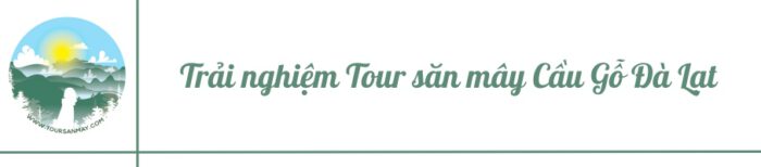 Trải nghiệm Tour săn mây Cầu Gỗ Đà Lạt