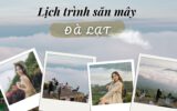 Lịch trình săn mây Đà Lạt