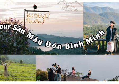 Tour săn mây đón bình minh Đà Lạt