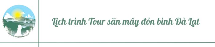 Lịch trình Tour săn mây đón bình Đà Lạt 